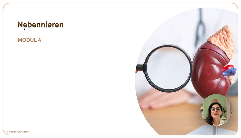 HPU und der Magen-Darm-Trakt: Besonderheiten der Verdauung