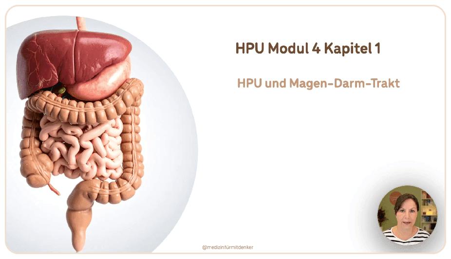 HPU und der Magen-Darm-Trakt: Besonderheiten der Verdauung