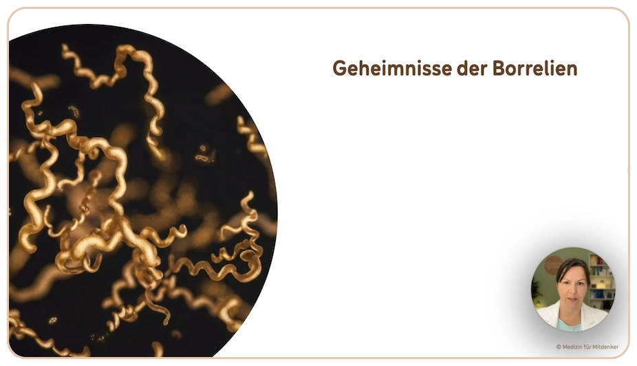 Die geheimnisvolle Welt der Borrelien