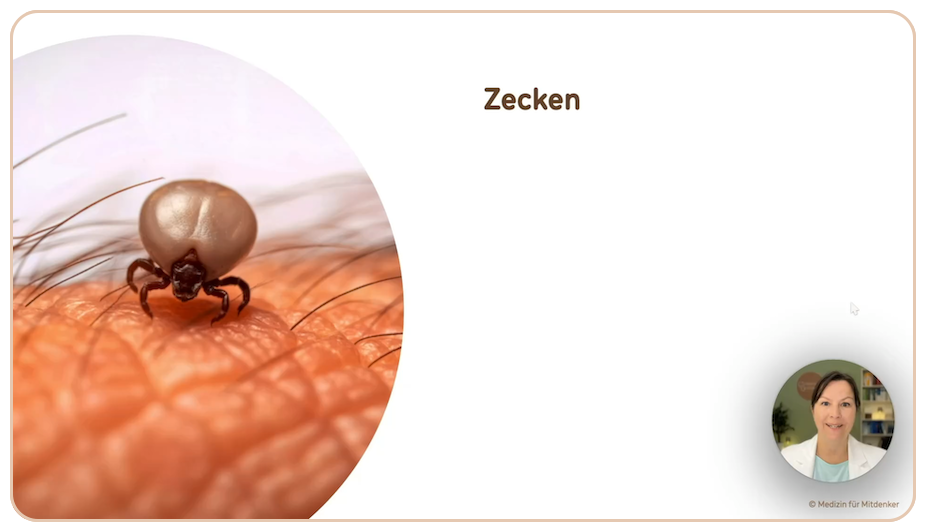 Zeckenarten und ihr Verhalten